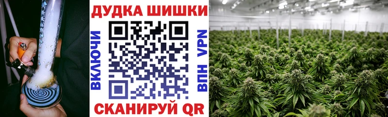Купить наркотики цена Приморск Бошки Шишки  Cocaine  А ПВП  Меф мяу мяу 