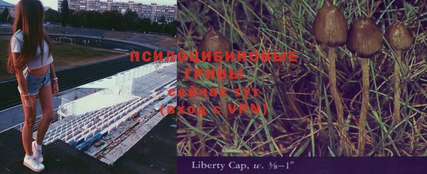 mix Аркадак