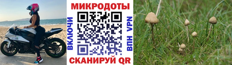 Галлюциногенные грибы MAGIC MUSHROOMS даркнет сайт KRAKEN ONION Приморск